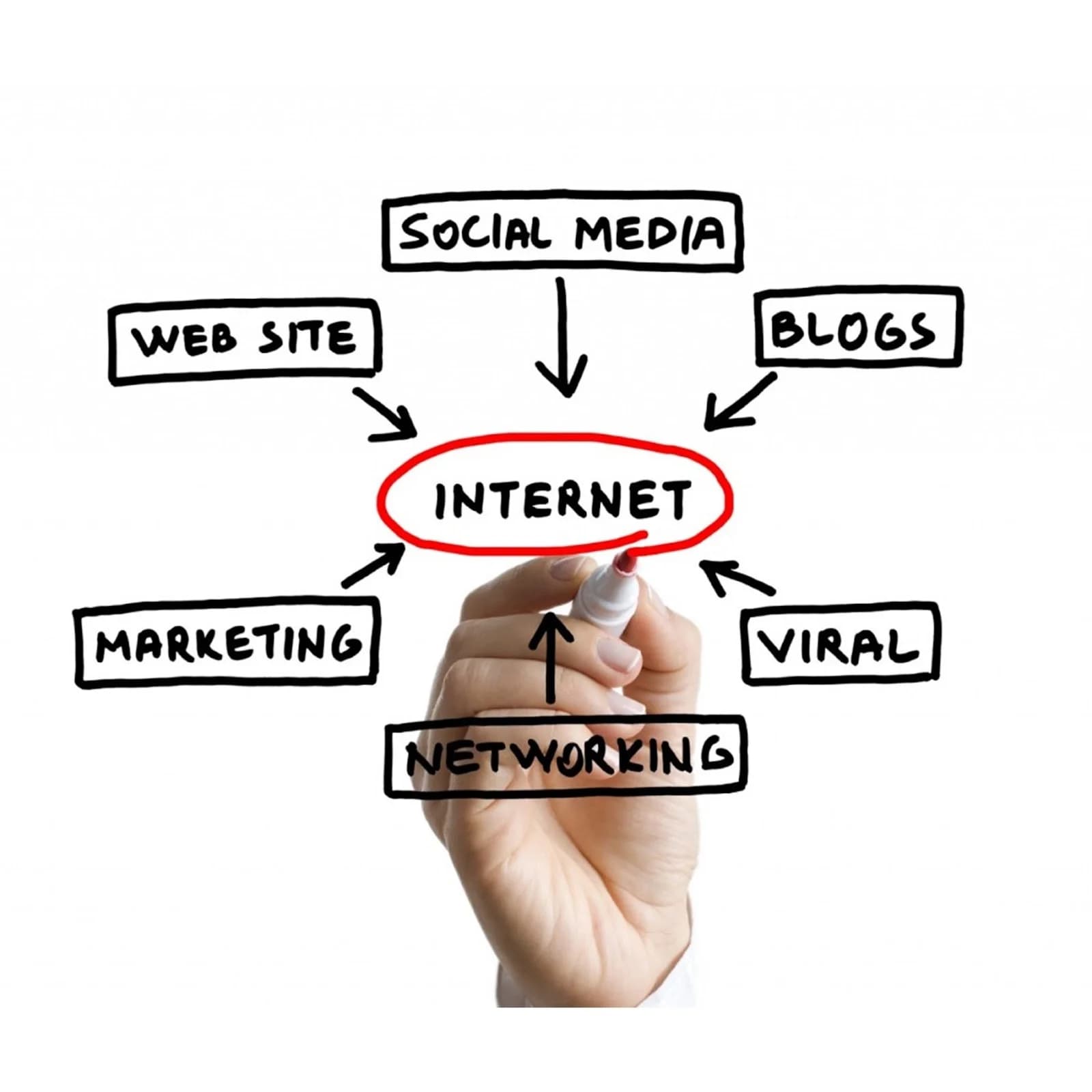 بررسی بهترین روشهای تبلیغات اینترنتی در برتینا